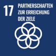 17 - Partnerships for the goals